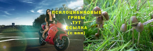 соль ск Аркадак