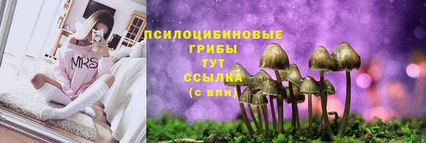 метадон Армянск